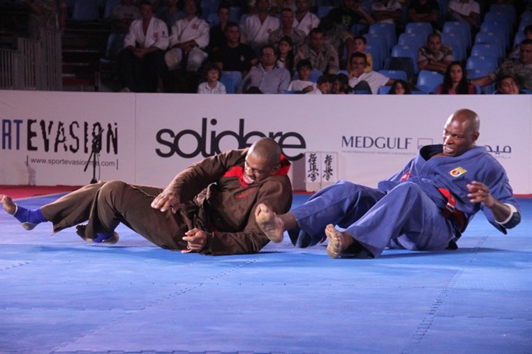 Martial Arts Festival